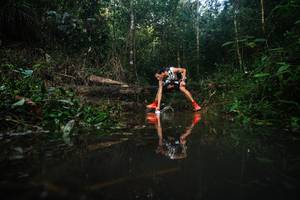 BIB: 
                            <button type="button" onclick="openModal(22478528)" class="btn btn-primary btn-sm float-right btn-popup" data-toggle="modal" data-target=".modal-high-quality">
                        <i class="fas fa-shopping-cart"></i> Add to Cart
                    </button>
                                            <button type="button" onclick="isThisMe(22478528, true)" class="btn btn-success btn-sm float-right btn-popup btn-isme hidden" data-toggle="tooltip" data-placement="bottom" title="นี่คือรูปของคุณใช่ไหม คลิกที่นี่เพื่อเอาเข้าอัลบั้ม">
                        <i class="fas fa-plus"></i> Add to album
                    </button>
                    <button type="button" onclick="isThisMe(22478528, false)" class="btn btn-warning btn-sm float-right btn-popup btn-isnotme hidden">
                        <i class="fas fa-ban"></i> Remove from album
                    </button>